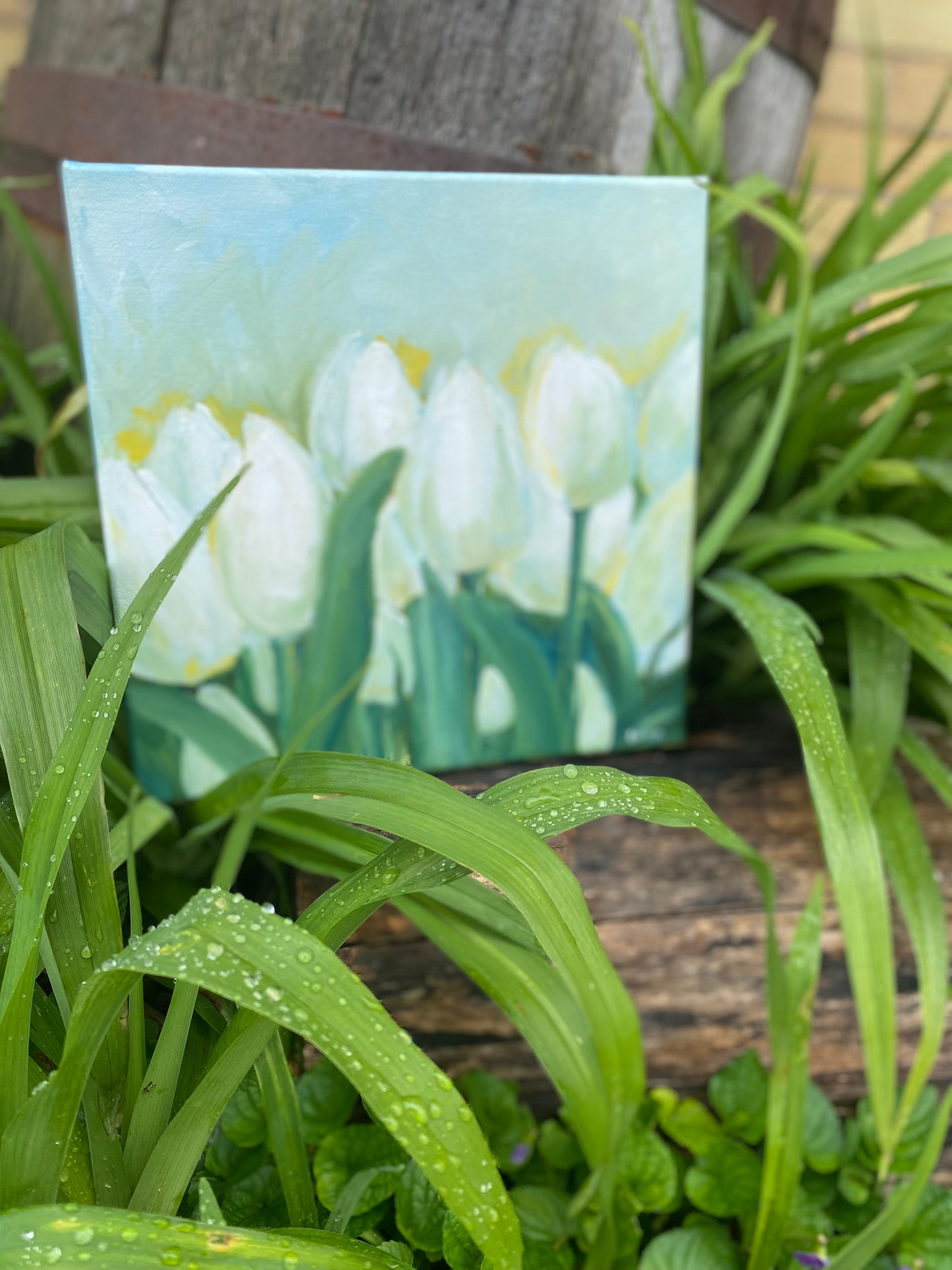 White Tulips