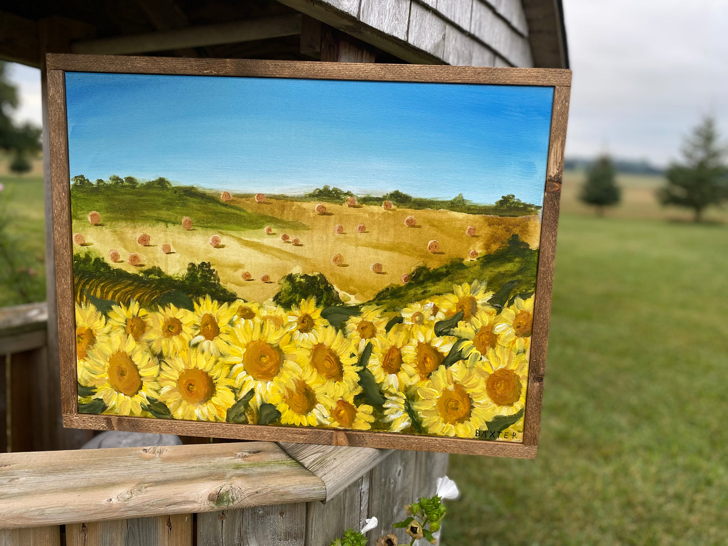 Sunflowers and Strawbales