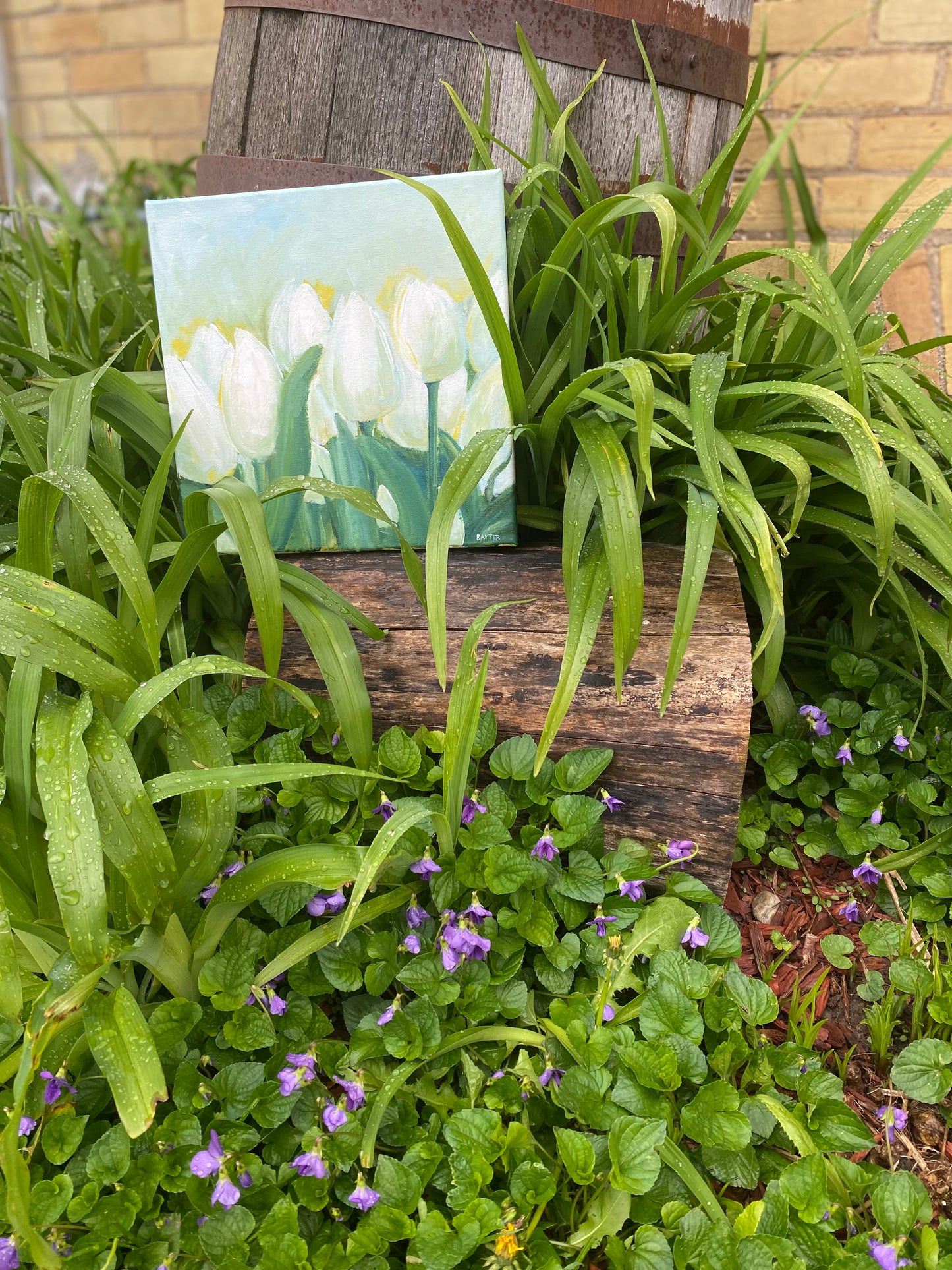 White Tulips