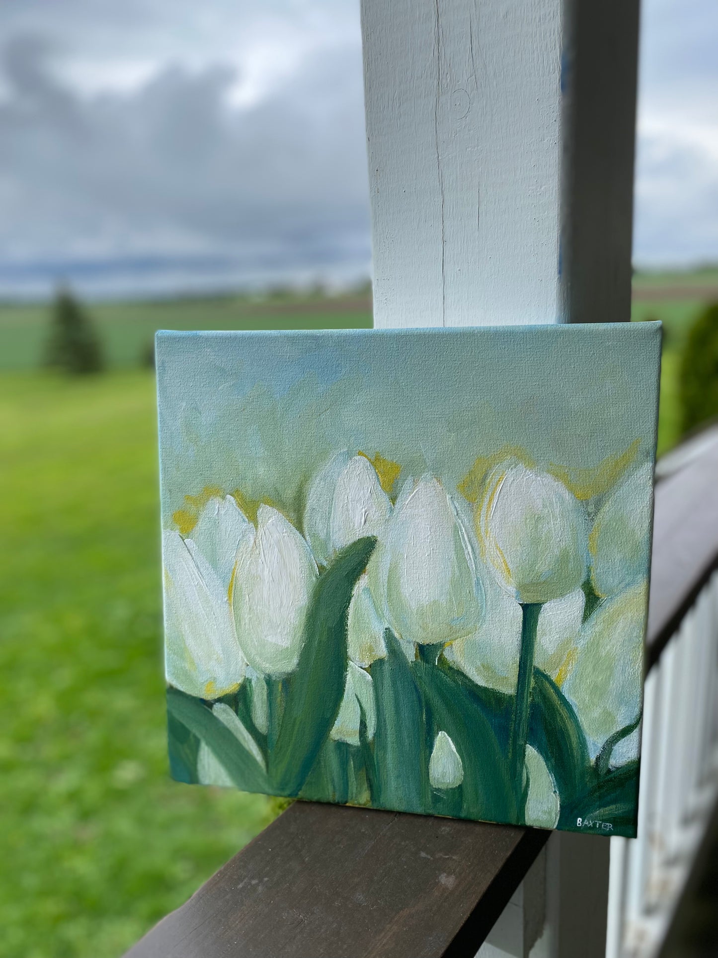 White Tulips