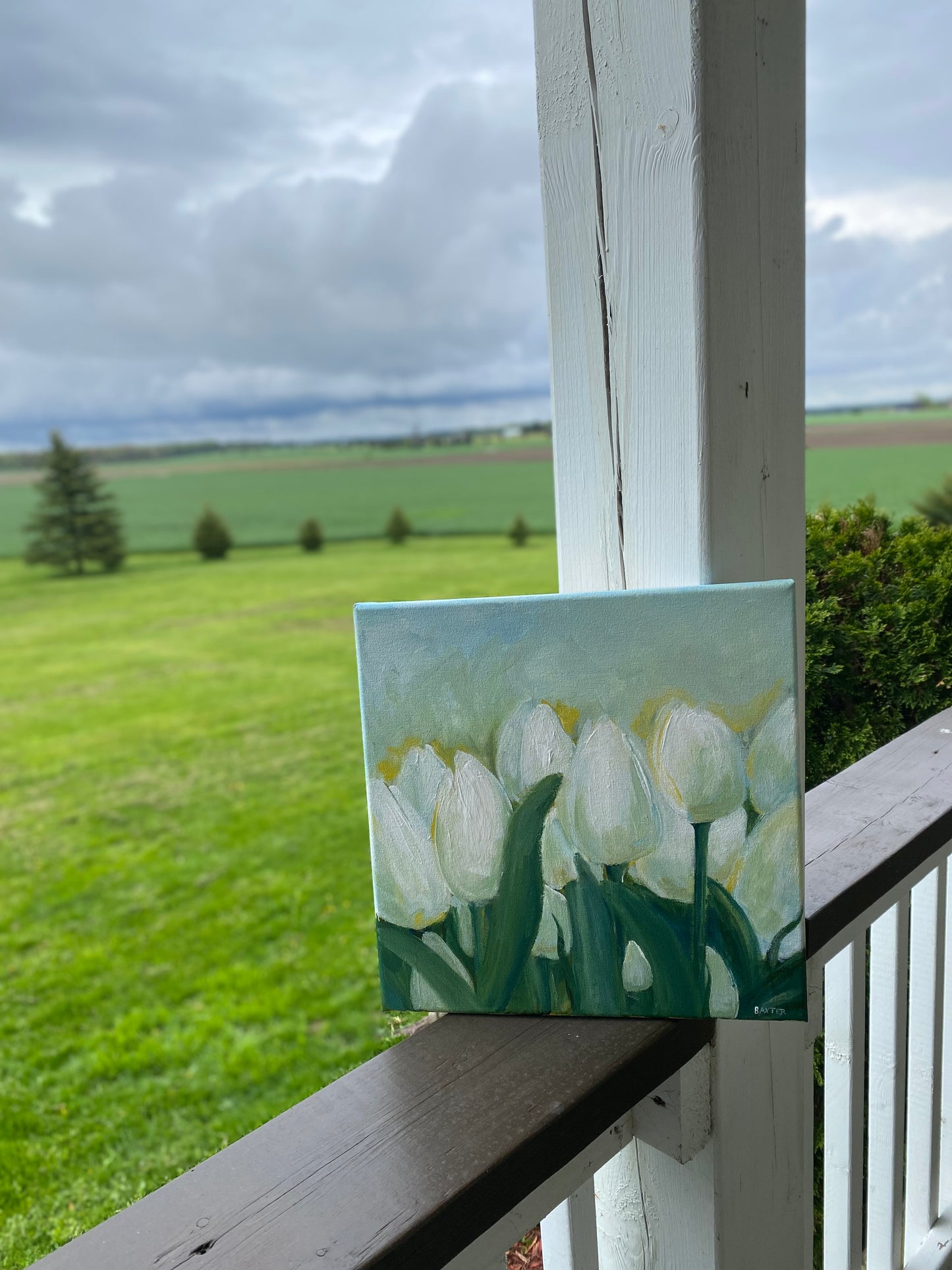 White Tulips