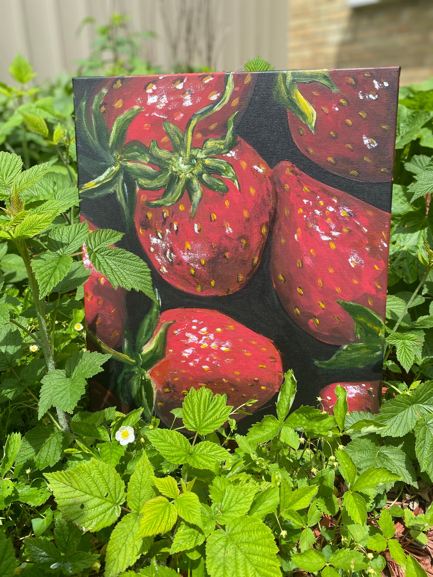 Strawberries