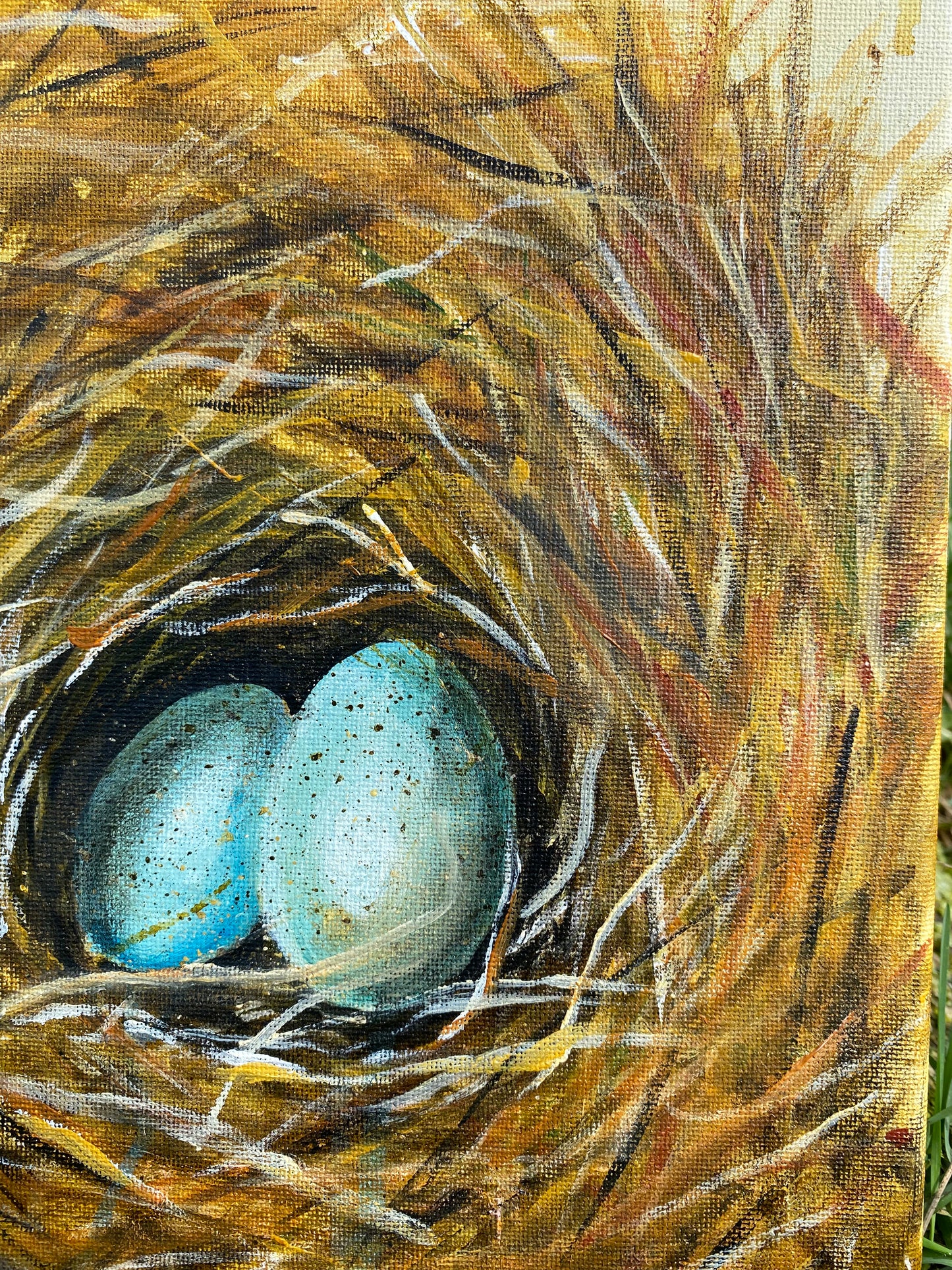 Nest